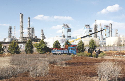 球帝直播App界面展示